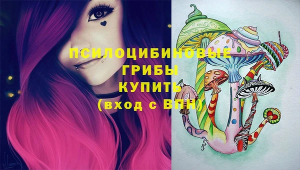 сатива Алексеевка